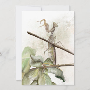 Pray Mantis watercolor  Invitation