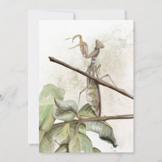 Pray Mantis watercolor Invitation