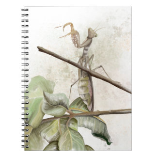 Pray Mantis watercolor  Notebook