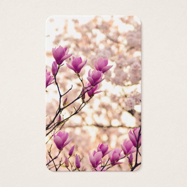 Prayer Cards | Beautiful Magnolia (Front)