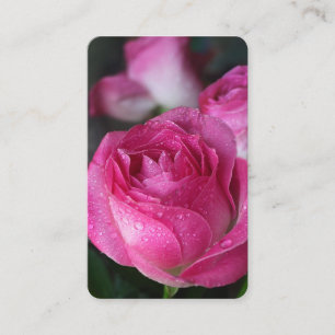 Prayer Cards   Delicate Rose
