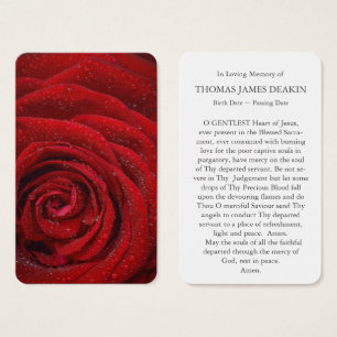 Prayer Cards   Red Rose