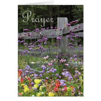 Prayer Flowers