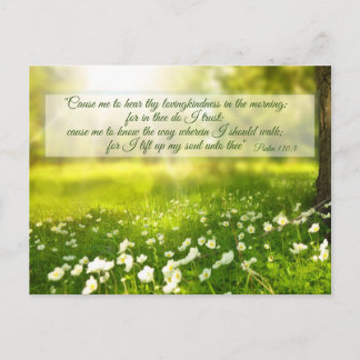 Prayer for God's guidance, spring scene  Postcard