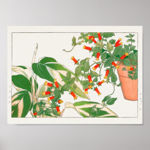 Prayer plant, Firecracker by Tanigami Konan Poster