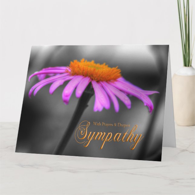 Prayers and Sympathy Purple Orange Coneflower Card (Front)