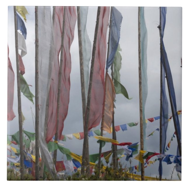Praying flag poles in mountain, Yotongla Pass Tile (Front)