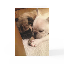 Praying for a speedy recovery