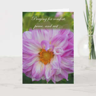 Praying for Comfort Card