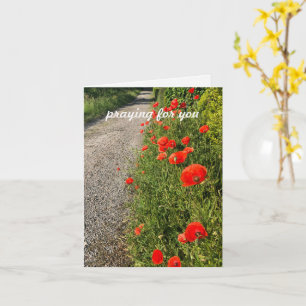 Praying for you, custom text original nature photo card