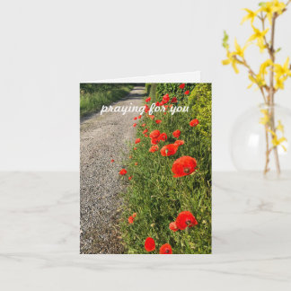 Praying for you, custom text original nature photo card