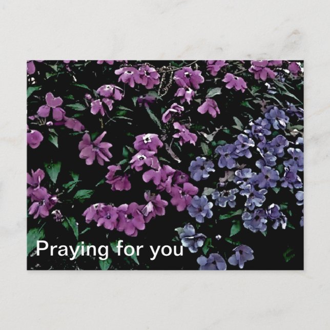 Praying For You Floral Postcard (Front)
