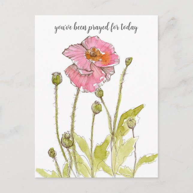 Praying For You Religious Pink Poppies Flowers Postcard (Front)