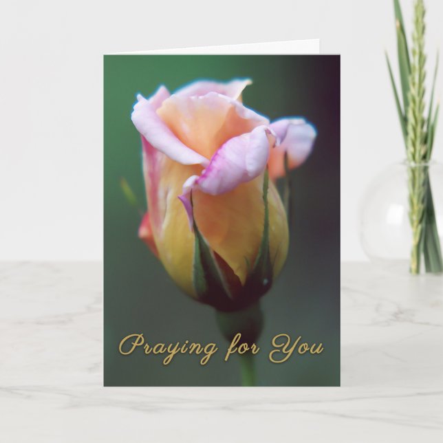 Praying for You Rose Greeting Card (Front)