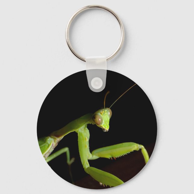 Praying mantid key ring (Front)