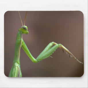 Praying Mantid Mouse Mat