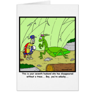 Praying Mantis