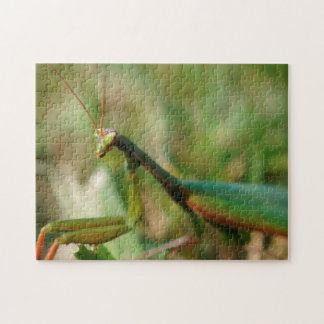 Praying Mantis, 11x14 Photo Puzzle with Gift Box