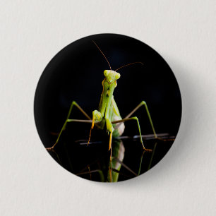 Praying mantis 6 cm round badge