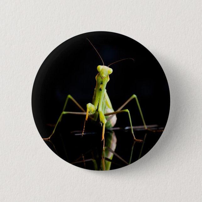 Praying mantis 6 cm round badge (Front)