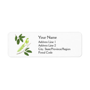 Praying Mantis Address Labels