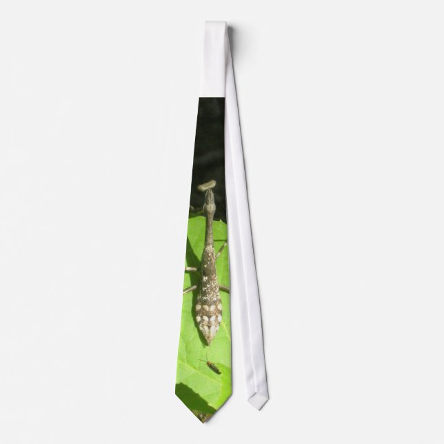 Praying Mantis and Firefly Tie (Front)