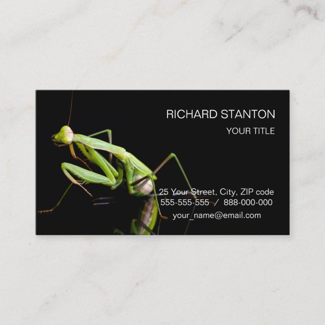 Praying mantis business card (Front)