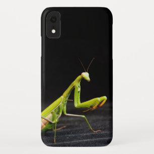 Praying mantis iPhone XR case