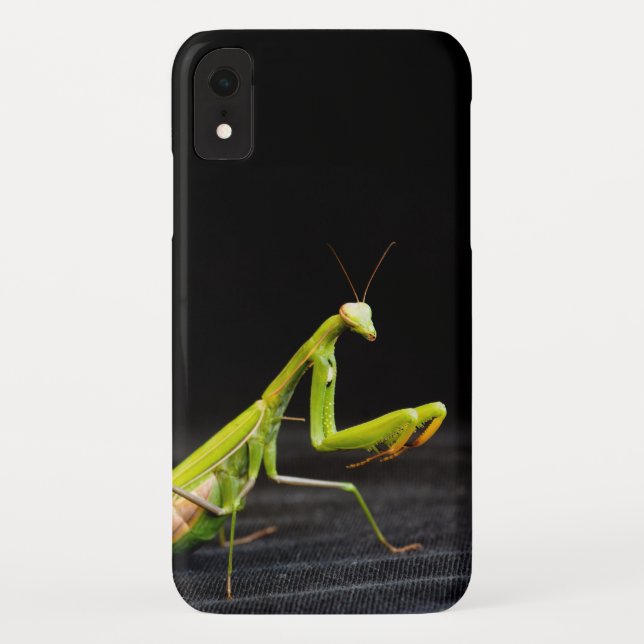 Praying mantis Case-Mate iPhone case (Back)