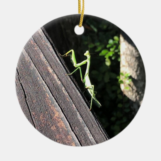 Praying Mantis  Ceramic Tree Decoration (Front)