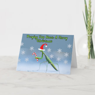Praying Mantis Christmas Card W/ Personalised Name