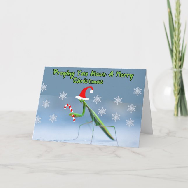Praying Mantis Christmas Card W/ Personalised Name (Front)