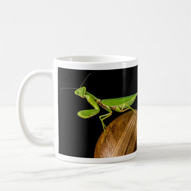 Praying Mantis Close-Up Coffee Mug (Left)