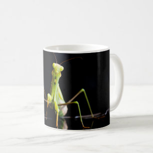 Praying mantis coffee mug
