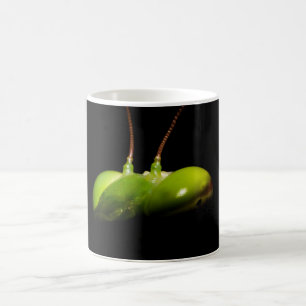 Praying mantis coffee mug