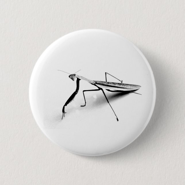 Praying Mantis Collection 6 Cm Round Badge (Front)