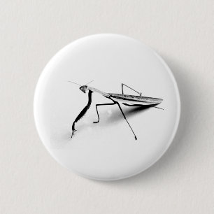 Praying Mantis Collection 6 Cm Round Badge