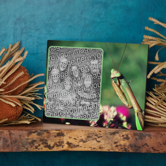 Praying Mantis Create Your Own Photo Plaque (Side)