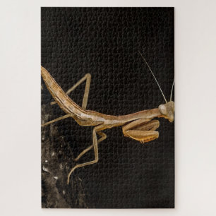 Praying Mantis Cute And Creepy Insect Art Jigsaw Puzzle