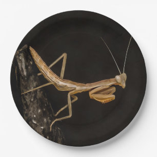 Praying Mantis Cute And Creepy Insect Art Paper Plate