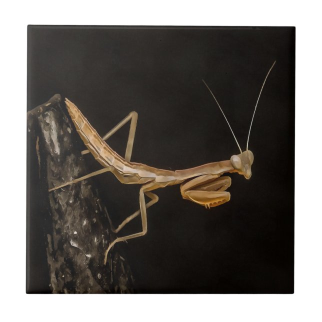 Praying Mantis Cute And Creepy Insect Art Tile (Front)