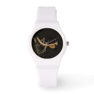 Praying Mantis Cute And Creepy Insect Art Watch
