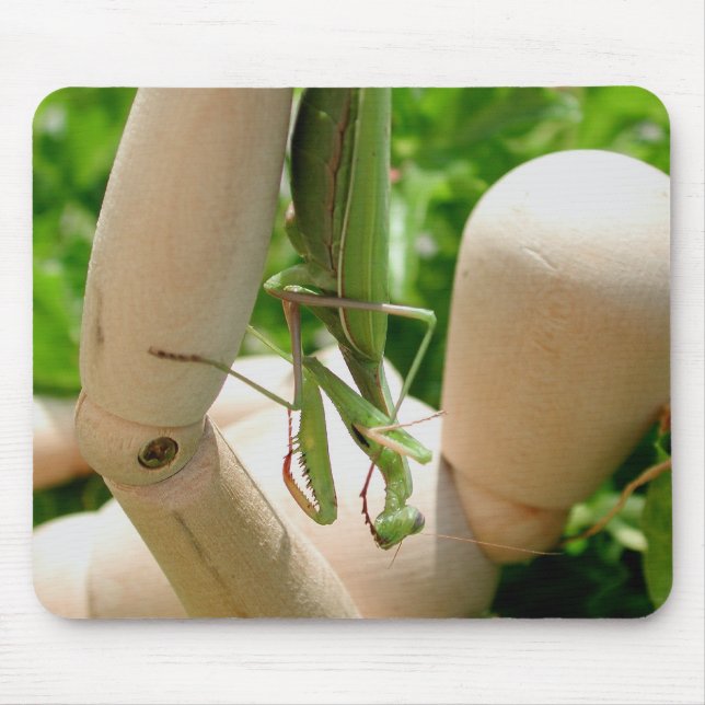 Praying Mantis Hanging Down Mouse Mat (Front)