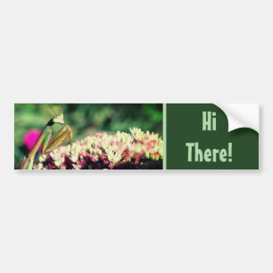 Praying Mantis Hi There Cute  Bumper Sticker