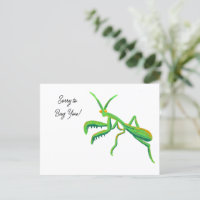 Praying Mantis in Bright Green Custom