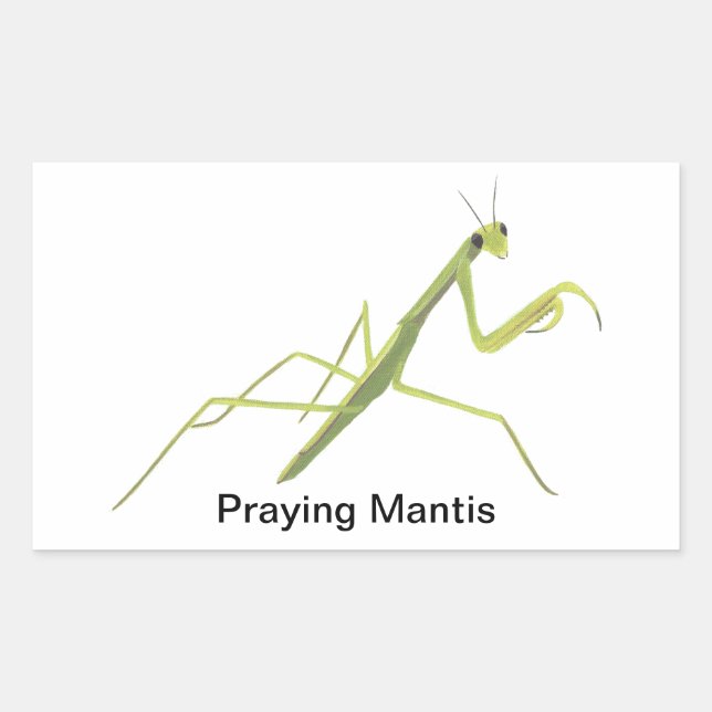 Praying Mantis Insect Painting Stickers (Front)