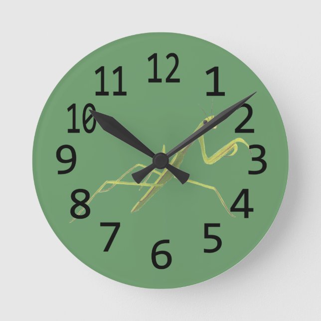 Praying Mantis Insect Painting Wall Clock (Front)