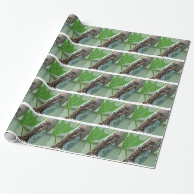 Praying Mantis Insect Wrapping Paper (Unrolled)