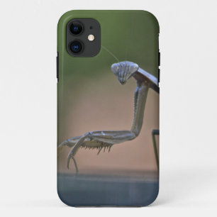 Praying Mantis Iphone 5 Case