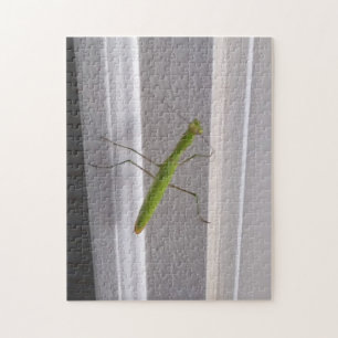 Praying Mantis Jigsaw Puzzle
